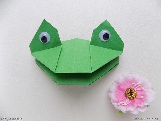 Голова жабки