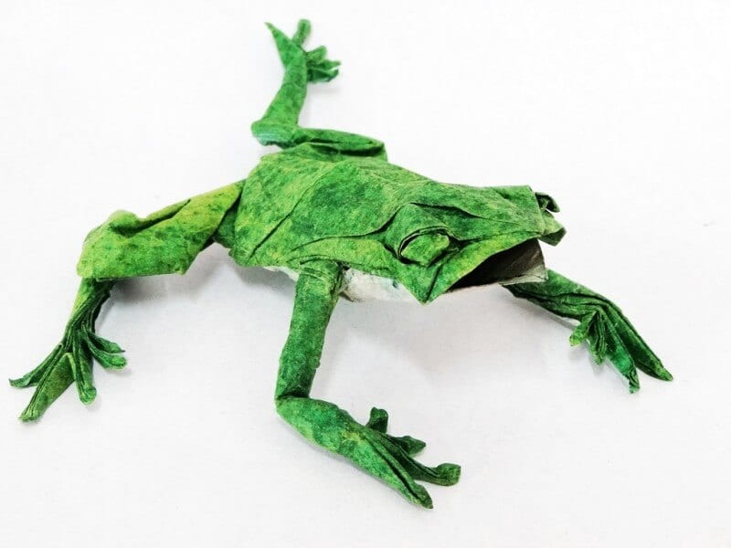 how to make a frog mask out of paper plate