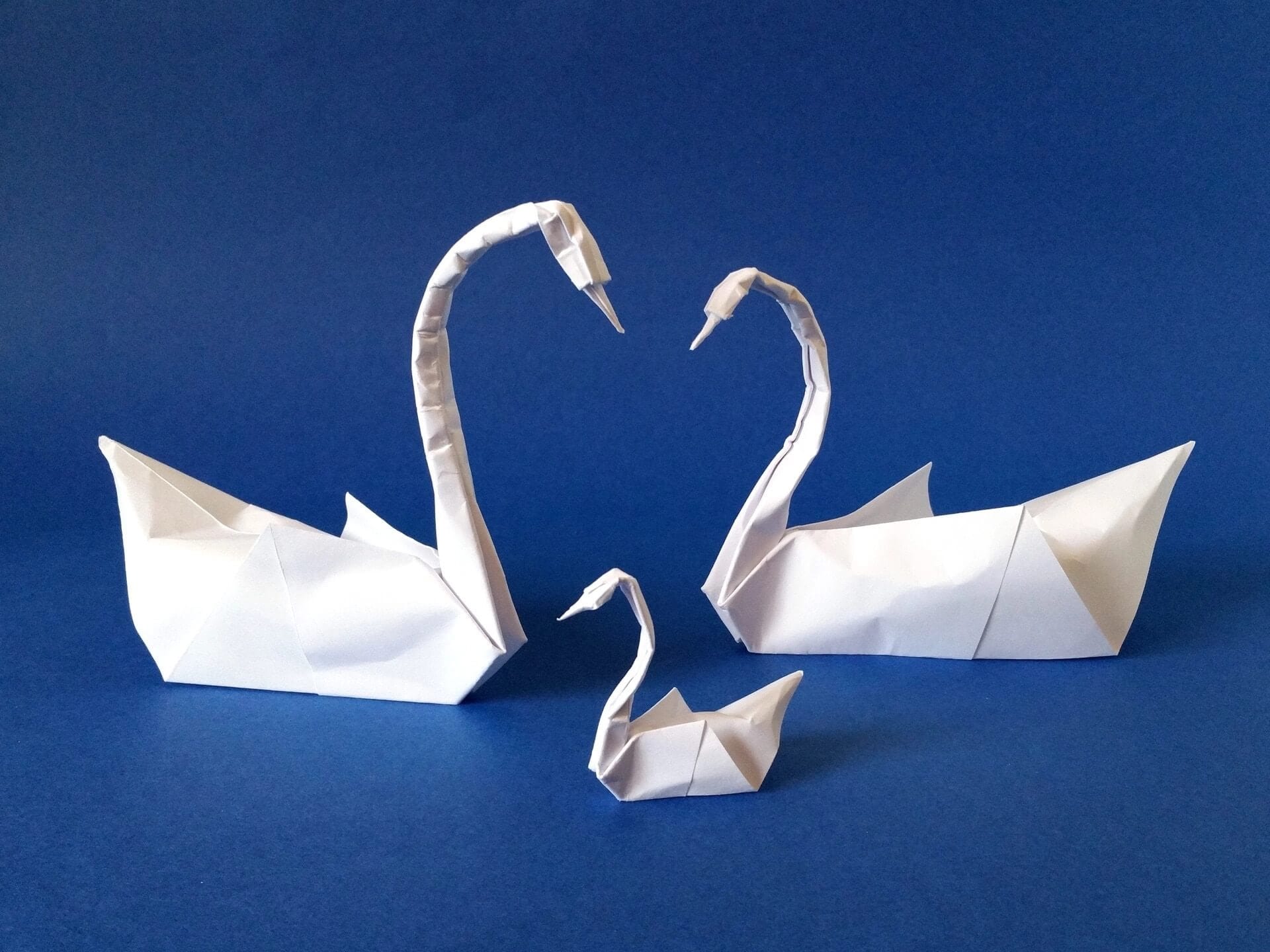make a swan out of paper