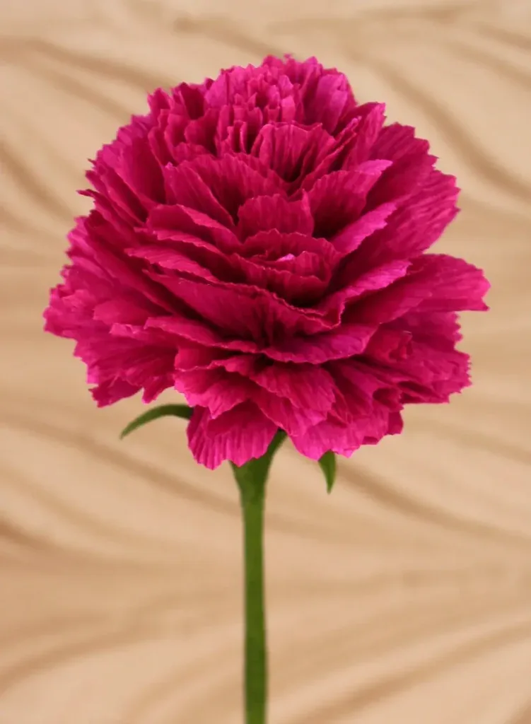 Colored paper carnation flower