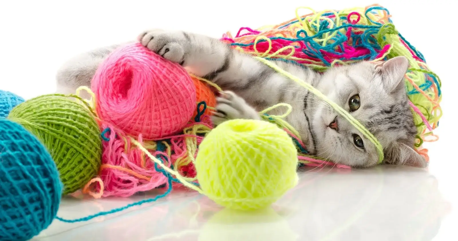 What to knit: ideas for beginners