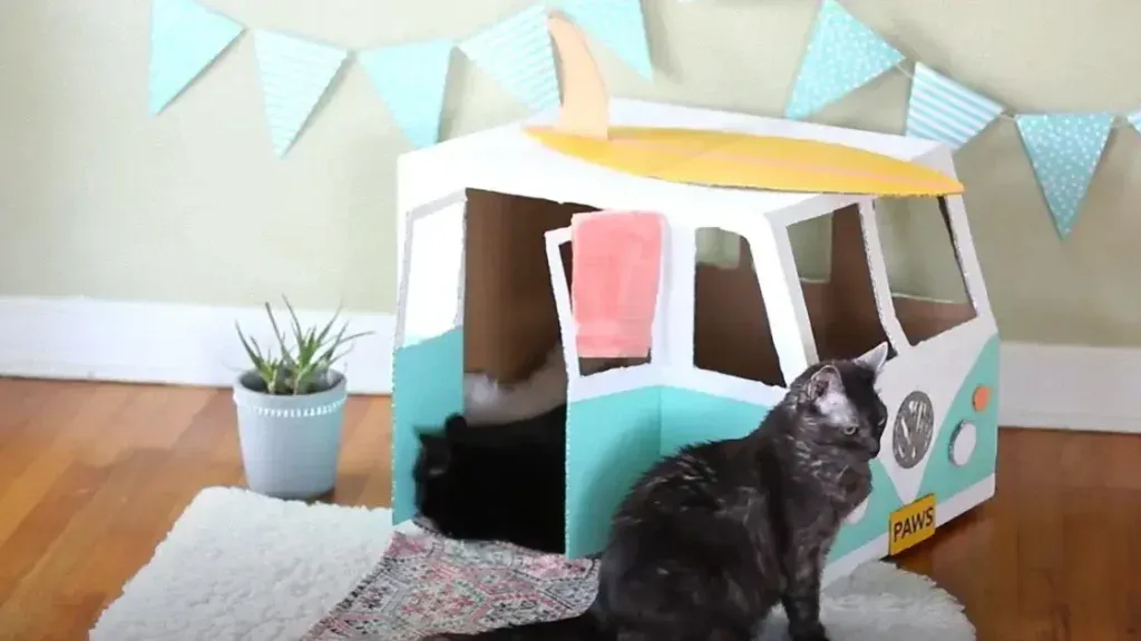 House for a cat