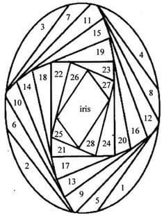 Схема Айріс Фолдінг