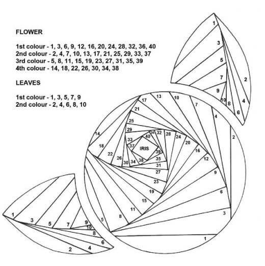 Схема квітка